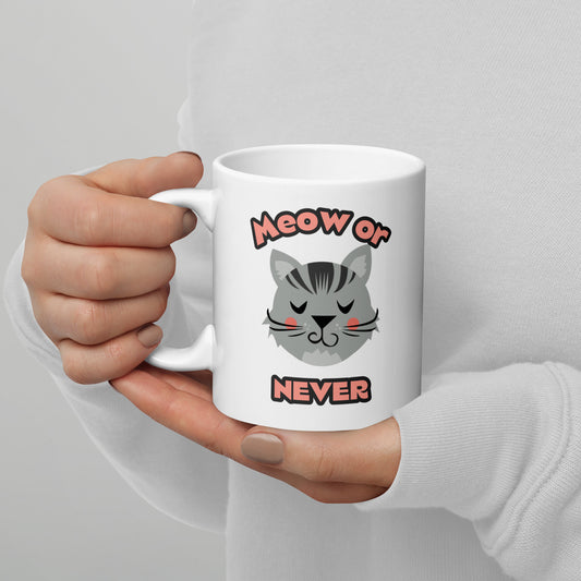 Meow or Never Mug