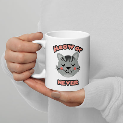 Meow or Never Mug