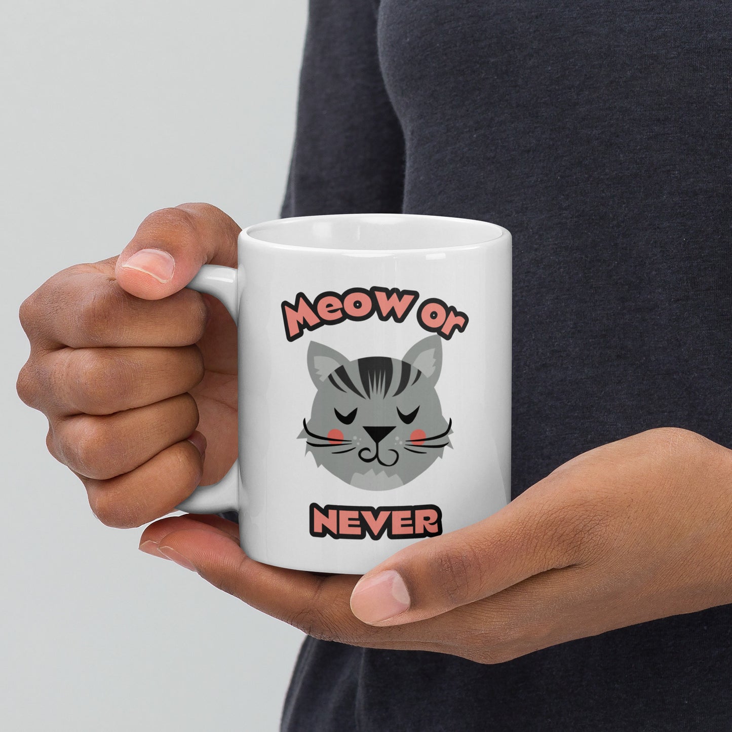 Meow or Never Mug