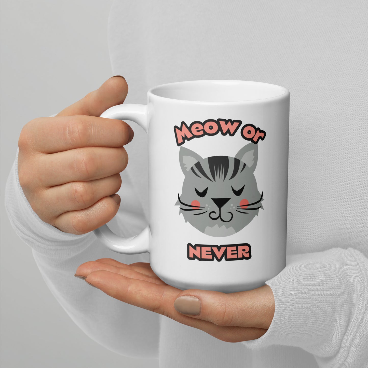 Meow or Never Mug