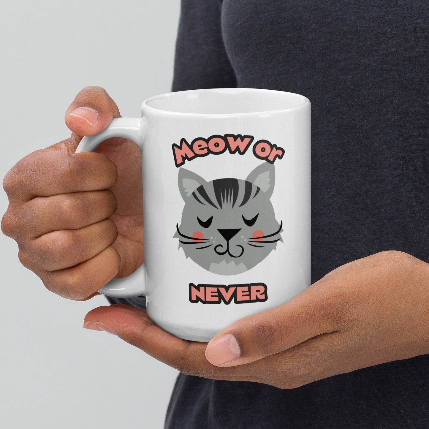 Meow or Never Mug